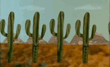Desert GIF - Desert Sand Heat GIFs
