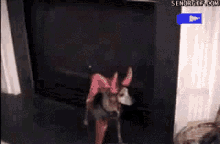 devil dog welcome to hell devil dog welcome to hell