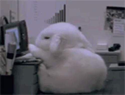 Bunny Flop GIF - Bunny Flop Rabbit GIFs
