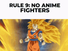 Discord Rules Ssj3goku GIF - Discord Rules Ssj3goku Anime Fighters GIFs