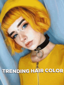 Hair Color Hair Style GIF - Hair Color Hair Hair Style GIFs