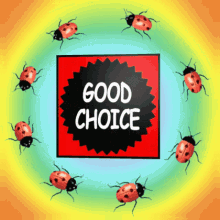 good choice good selection excellent choice good decision acceptable