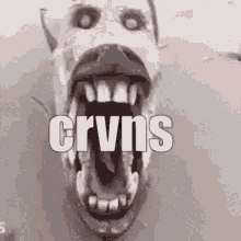 Crvns Fish Creepy GIF - Crvns Fish Crvns Creepy GIFs