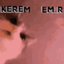 Kerem Emir GIF - Kerem Emir GIFs