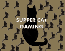 Cat Kitty GIF - Cat Kitty Supper Cat Gaming GIFs