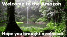 Raincoat Szn The Amazon GIF - Raincoat Szn The Amazon Boomsauce GIFs