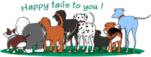 dogs tail