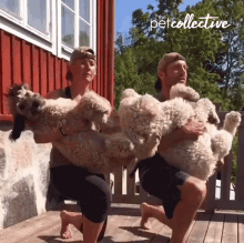 Exercise The Pet Collective GIF - Exercise The Pet Collective Lunges GIFs