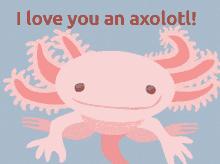 I Love You An Axolotl Axolotl GIF - I Love You An Axolotl Axolotl GIFs
