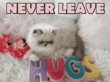 Never Leave Kitten GIF - Never Leave Kitten Hugs GIFs