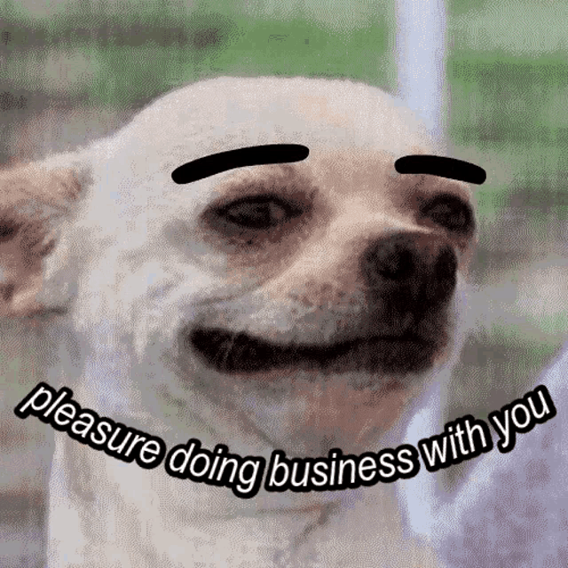 Pleasure Doing Business Funny GIF - Pleasure Doing Business Funny Dogs GIFs