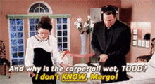 Xmas Vacay Reactions GIF - Xmas Vacay Reactions Why The Carpet Is Wet GIFs