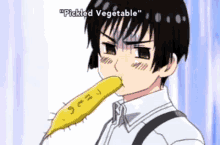 kiku honda japan hetalia