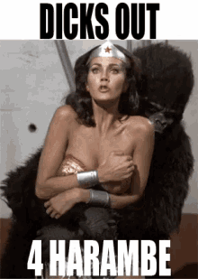 Dicks Out GIF - Dicks Out Harambe Wonder Woman GIFs