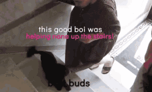 Best Buds Helping GIF - Best Buds Helping Guide GIFs