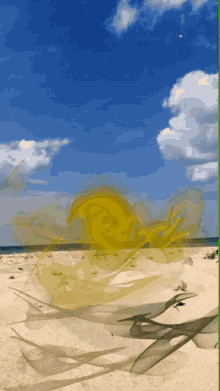 beach sun