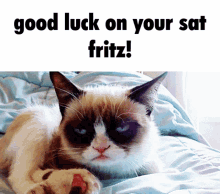 Fritz Fritz Sat GIF - Fritz Fritz Sat Sat GIFs