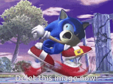 Scared Delete GIF - Scared Delete Sonic GIFs