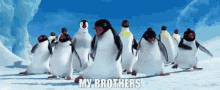 Happy Feet My Brothers GIF - Happy Feet My Brothers Brothers GIFs