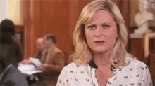 Amy Poehler Parks And Rec GIF - Amy Poehler Parks And Rec GIFs