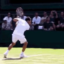One Handed Backhand Tennis GIF - One Handed Backhand Tennis Whiff GIFs