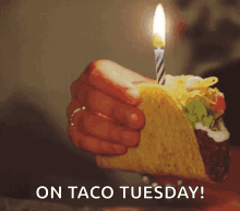 happy birthday on taco tuesday hbd candle birthday candle taco love happy birthday on taco tuesday hbd candle birthday candle taco love