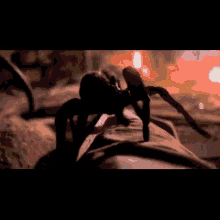 Arachnophobia Spider GIF - Arachnophobia Spider GIFs