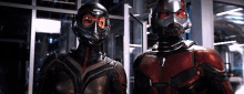Ant Man The Wasp GIF - Ant Man The Wasp Look At Each Other GIFs
