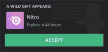 nitro discord accept a wild gift appears