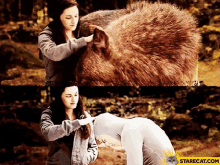 Bella Swan Petting Jacob Black GIF - Twilight The Twilight Saga Kristen Stewart GIFs