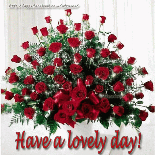 Hello Have A Lovely Day GIF - Hello Have A Lovely Day Red Roses GIFs