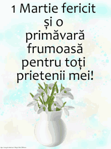 1martie ghiocei mesaj pentru prieteni