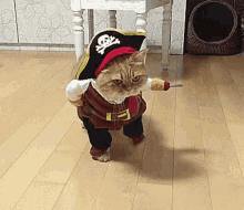 Funny Cat GIF - Funny Cat Loveyou GIFs