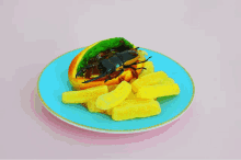 insect food