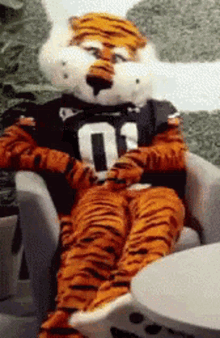 mascot tiger chilling