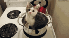 Cat Stove GIF - Cat Stove Cooking GIFs