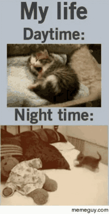 Nocturnal Lazy GIF - Nocturnal Lazy My Life Daytime GIFs