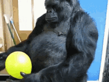Cambiemos Gorila GIF - Cambiemos Gorila Pro GIFs
