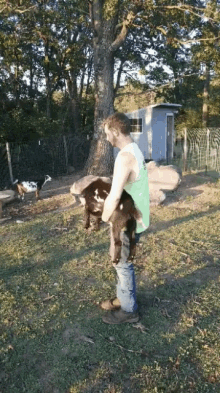 Goat Cody GIF - Goat Cody Funny GIFs