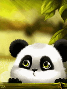 Oso Panda Gifs Tenor