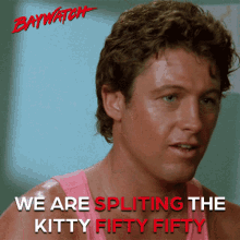 We Are Splitting The Kitty Fifty Fifty Share GIF - We Are Splitting The Kitty Fifty Fifty Splitting Fifty Fifty GIFs