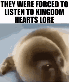 Forced Kingdom GIF - Forced Kingdom Hearts GIFs