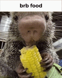 brb food brb food eating discord brb food brb food eating discord