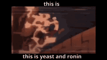 This Is Ronin This Is Yeast GIF - This Is Ronin This Is Yeast This Is Yeast And Ronin GIFs