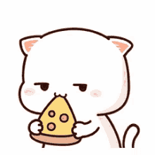 pizza peachcat cute cat eating