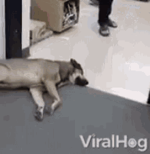 Exhausted Passed Out GIF - Exhausted Passed Out Cant Move GIFs