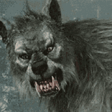 Wolf Werewolf GIF - Wolf Werewolf Roar GIFs