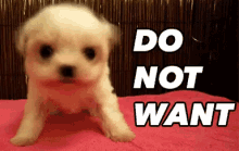 Do Not Want GIF - Donotwant Dog No GIFs
