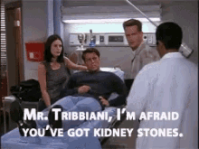 kidney joey