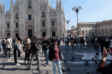 Pigeon Play Milan GIF - Pigeon Play Milan Crowd GIFs